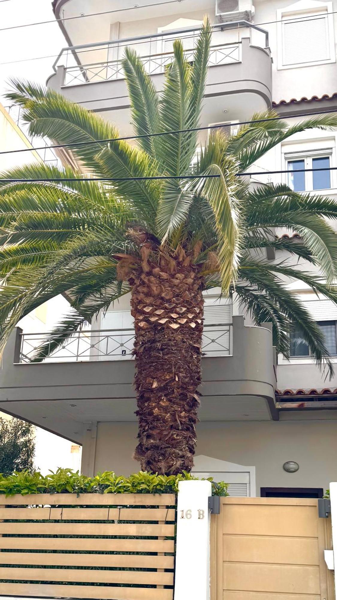 Elegant Glyfada Apartment-Private Garden-Near Metro Athens Ngoại thất bức ảnh
